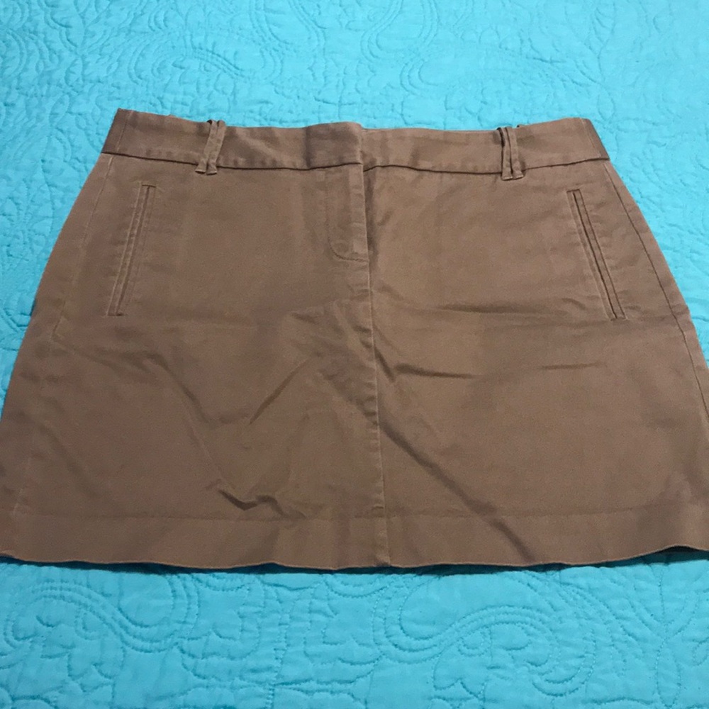 J Crew Skirt